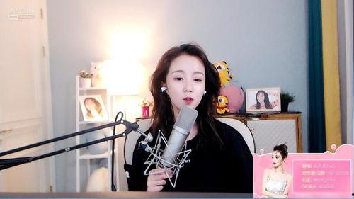 网红会做的事有哪些,揭秘网红们的热门活动与生活方式