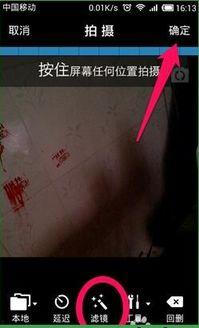 大连爆料君的秒拍视频,现场直击事件真相