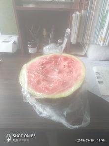 忧伤吃瓜,探寻心灵深处的甜蜜与苦涩