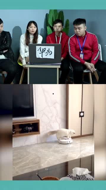 办公室搞笑吃瓜,笑料横生的吃瓜日常