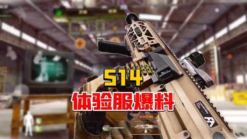 体验服最新爆料暗区,体验服爆料揭示神秘生成机制