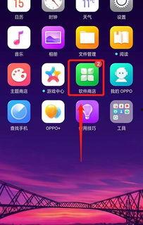 头条定向流量怎么转换,高效转化策略全解析