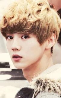 明星鹿晗图片,光影中的青春偶像