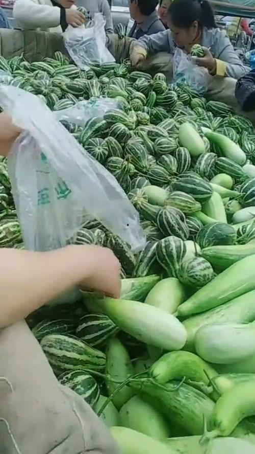 兰州大街吃瓜正在播放,吃瓜群众的热闹现场，直播带你一探究竟