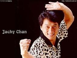 麒名字的明星,揭秘麒麟明星的璀璨人生