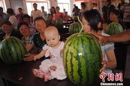 河北衡水吃瓜事件视频,一场网络热议的校园风波揭秘