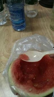 仓鼠可以吃罐瓜么,罐装瓜果的适宜性探讨