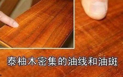 网红柚木最新免费观看,揭秘热门短视频背后的魅力