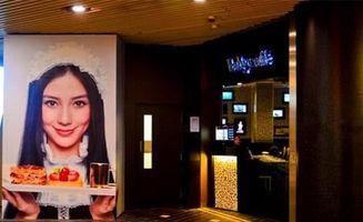 明星 开餐厅,揭秘明星开餐厅的独到魅力