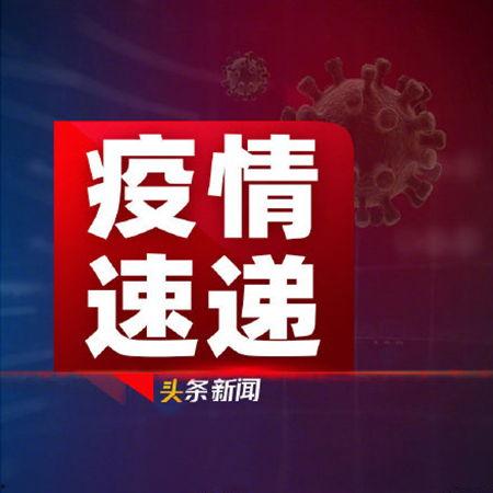 新闻头条百日缘,见证爱情奇迹的非凡旅程