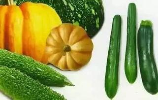 永夜吃瓜,揭秘娱乐圈背后的秘密与真相