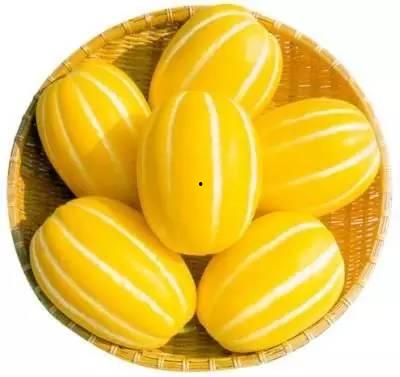 瓜没熟可以吃,未熟瓜果的食用风险与注意事项