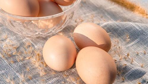 健身网红吃鸡蛋吗,鸡蛋的神奇力量