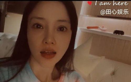 网友爆料李小璐视频,网友爆料引发热议