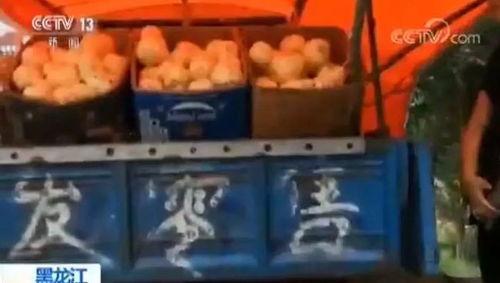 吃瓜闹肚子的说说,揭秘夏日消暑美食背后的健康隐患