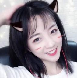 东北网红莉哥,从直播界新星到现象级偶像的蜕变之路