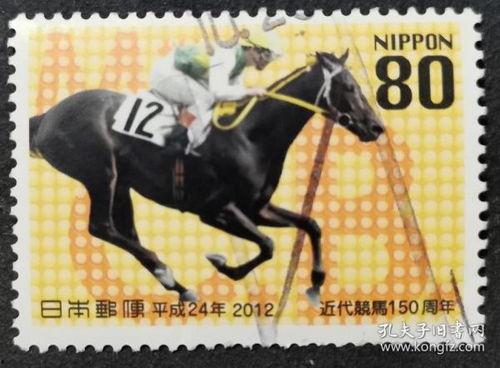 日本网红竞马,激情四溢的赛马盛宴