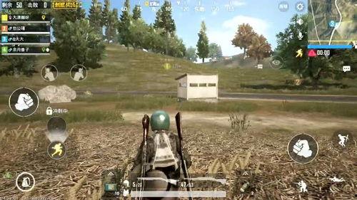 吃鸡稳定瓜,揭秘游戏高手如何轻松上分