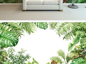 头条植物墙图片大全高清,高清植物墙图片大全赏析