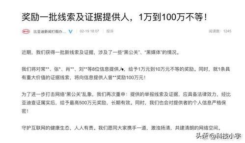 今日头条的小宇,今日头条新晋网红，揭秘他的爆红之路