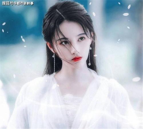 明星 孤鸾,明星的孤独飞翔之路