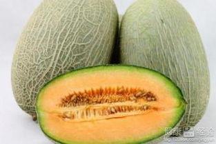 小雨吃哈密瓜,小雨的哈密瓜美食之旅