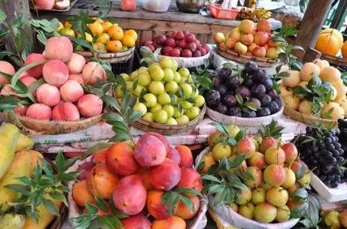 云南水果今日头条新闻,多品种水果亮相今日头条