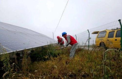 吉林电力吃瓜,揭秘背后真相与争议