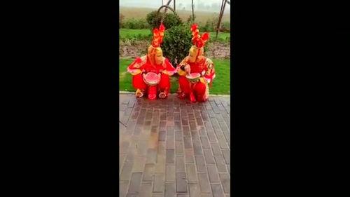 猴吃瓜舞蹈比赛,欢乐竞技，舞动青春风采