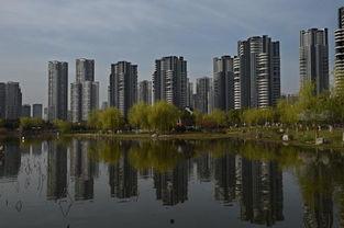 今日头条武汉沙湖,自然与都市的和谐交融之地