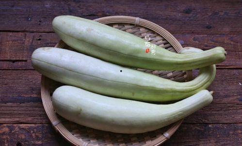 虎耳瓜怎么吃最好吃