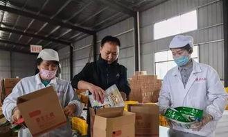 网红30岁创业方向,网红的创业新方向揭秘