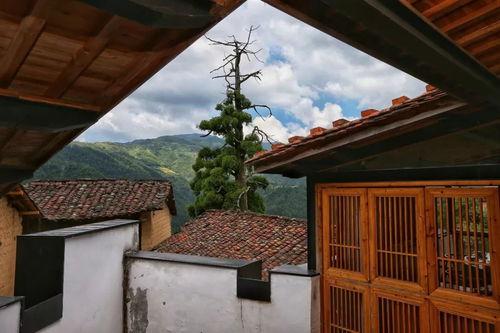 利川网红民宿,隐匿山间的诗意栖息地