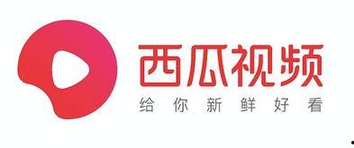 青海西瓜新闻今日头条,助力乡村振兴新篇章