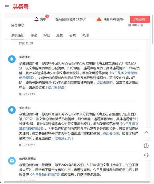 相册上怎么发头条文章
